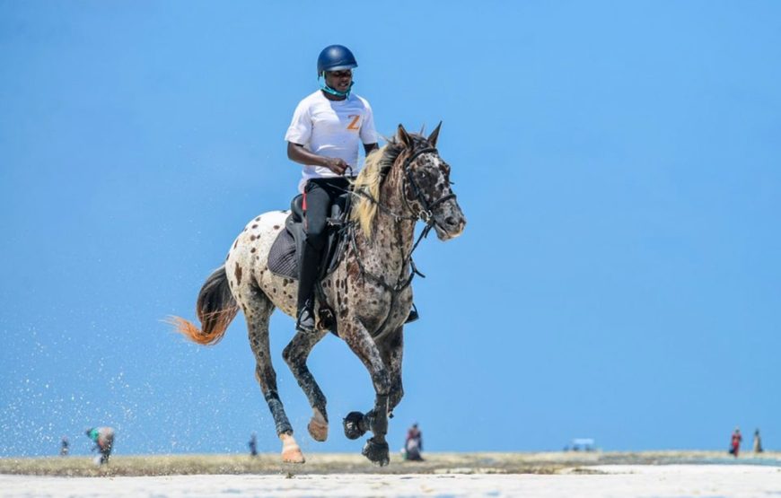 Horse Riding Zanzibar