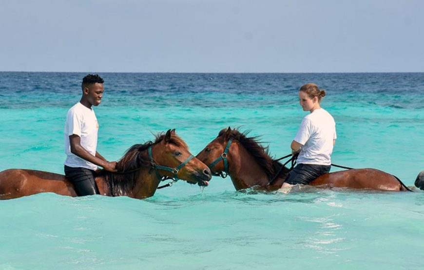 Horse Riding Zanzibar