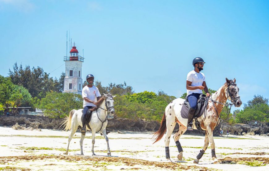 Horse Riding Zanzibar