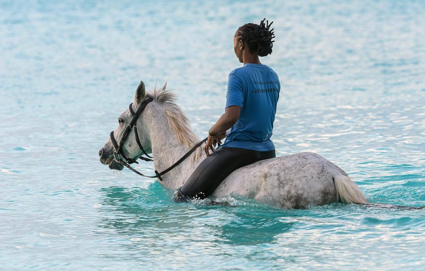 Horse Riding Zanzibar