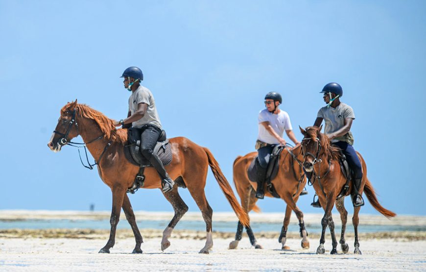 Horse Riding Zanzibar
