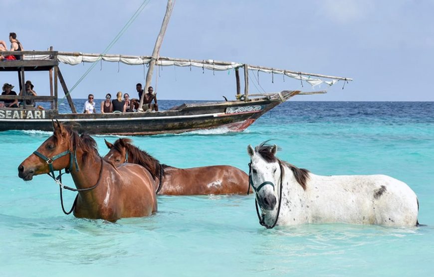 Horse Riding Zanzibar