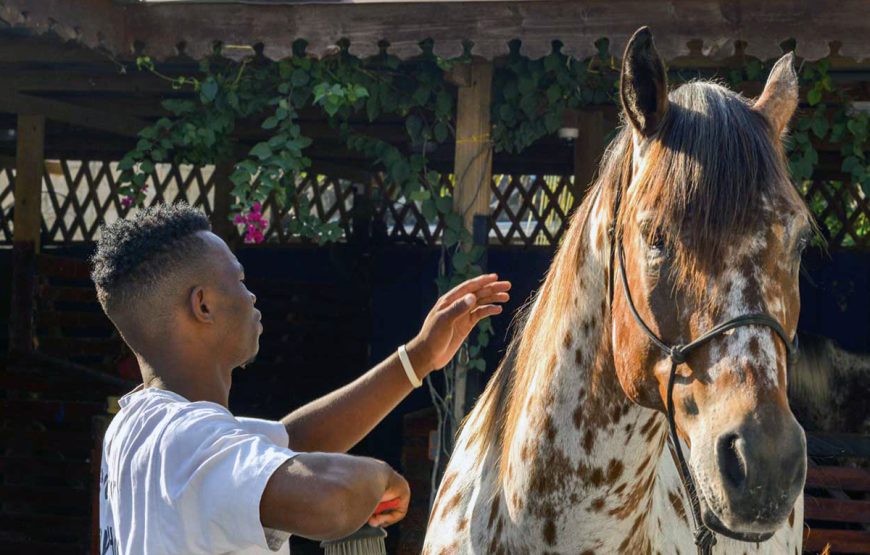 Horse Riding Zanzibar