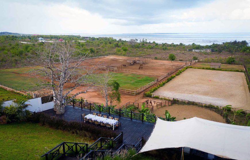 Horse Riding Zanzibar