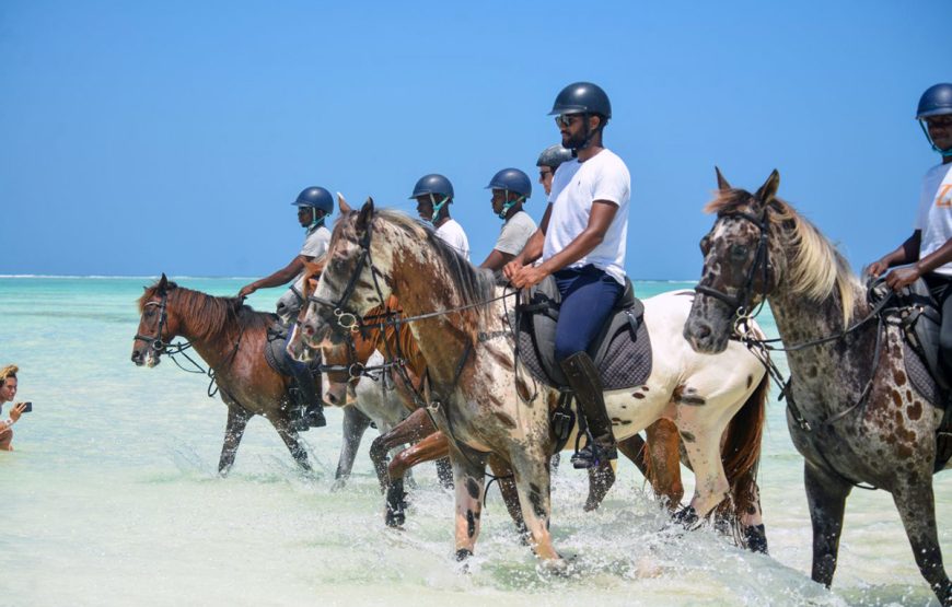 Horse Riding Zanzibar