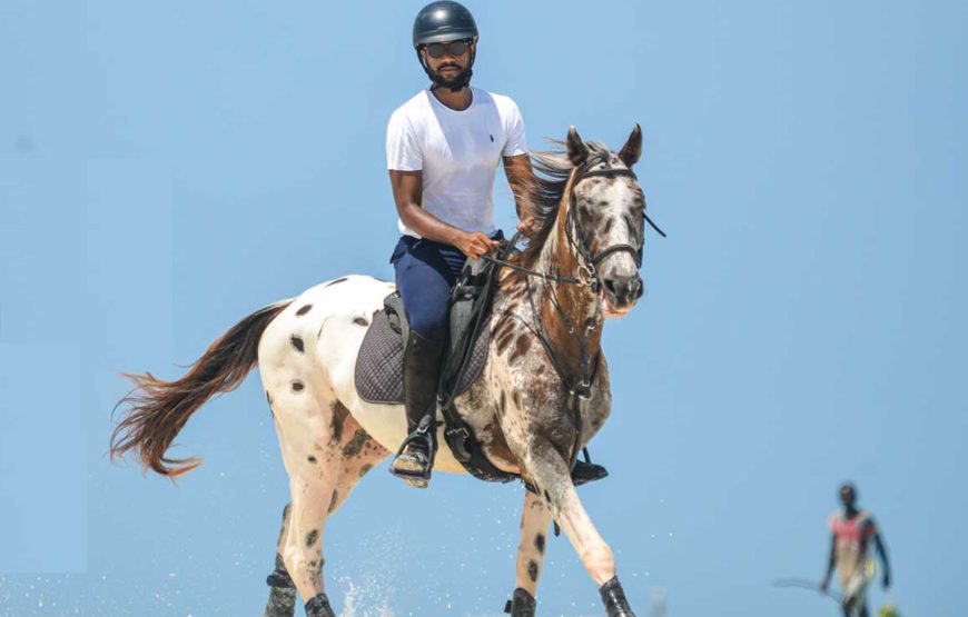 Horse Riding Zanzibar