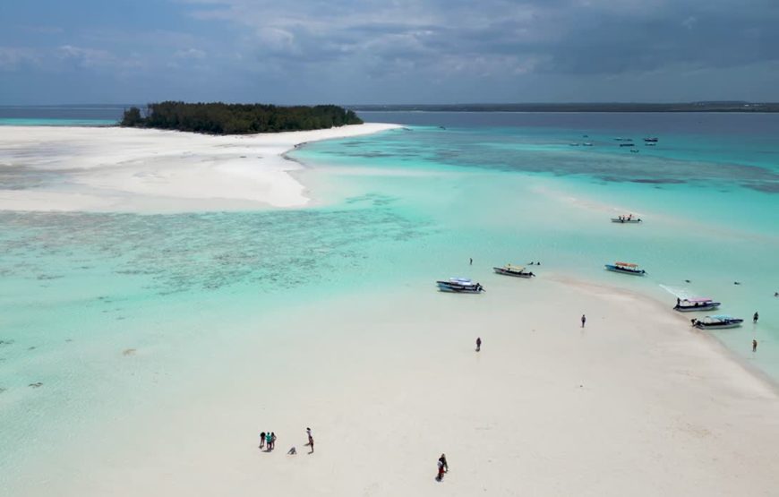 Mnemba snorkeling and dolphin experience