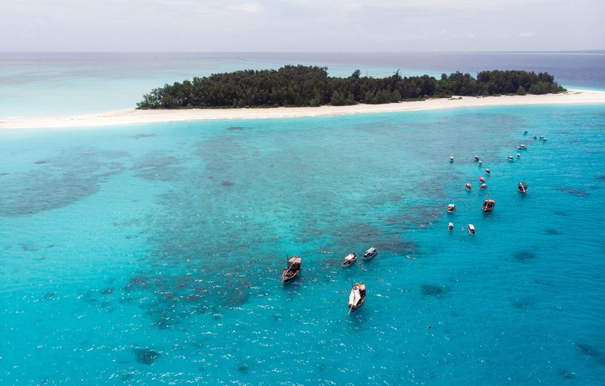 Mnemba snorkeling and dolphin experience