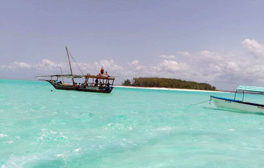 Mnemba snorkeling and dolphin experience