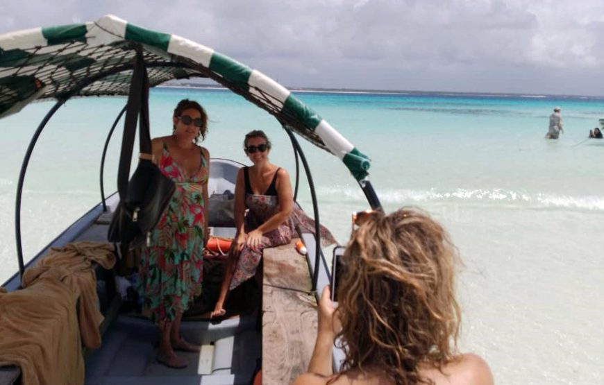 Mnemba snorkeling and dolphin experience