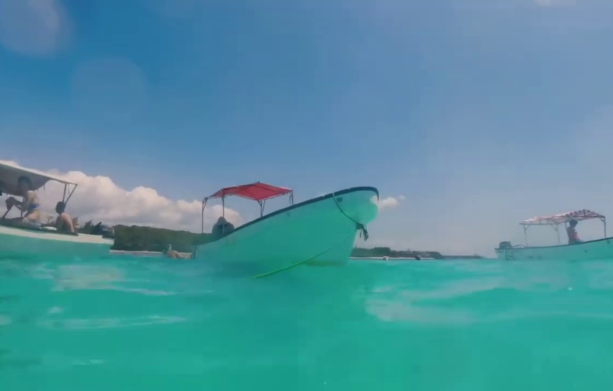 Mnemba snorkeling and dolphin experience