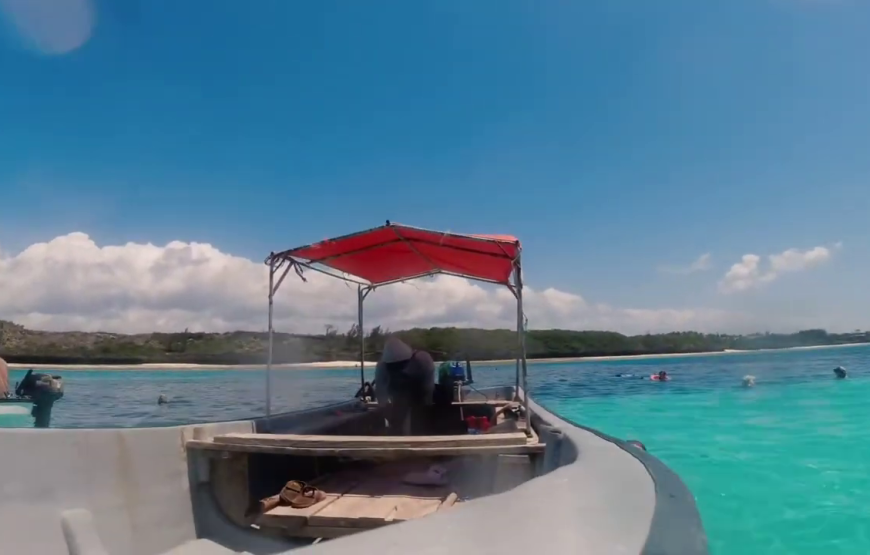 Mnemba snorkeling and dolphin experience