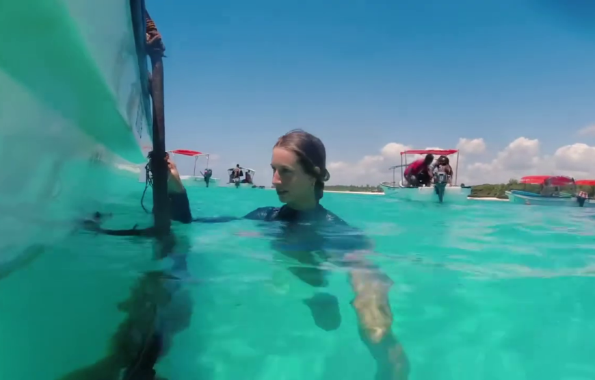 Mnemba snorkeling and dolphin experience