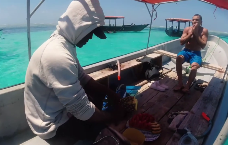 Mnemba snorkeling and dolphin experience