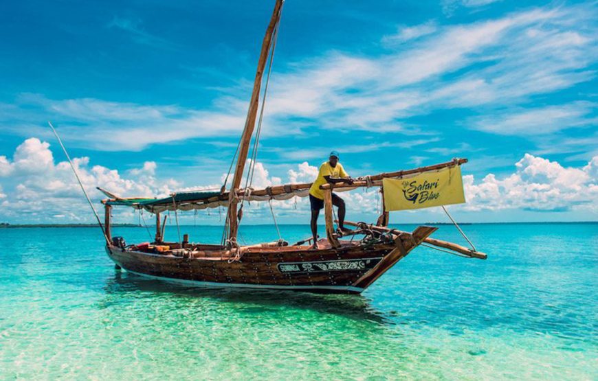 Safari Blue Adventure