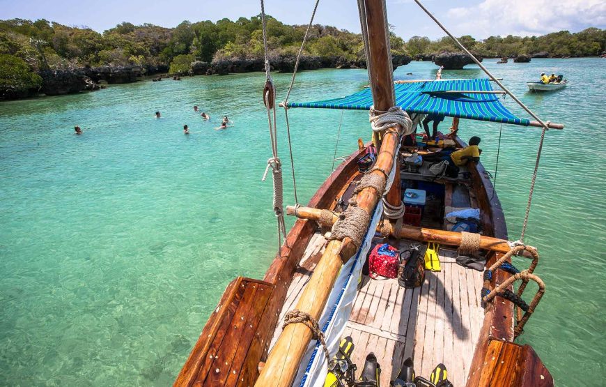 Safari Blue Adventure