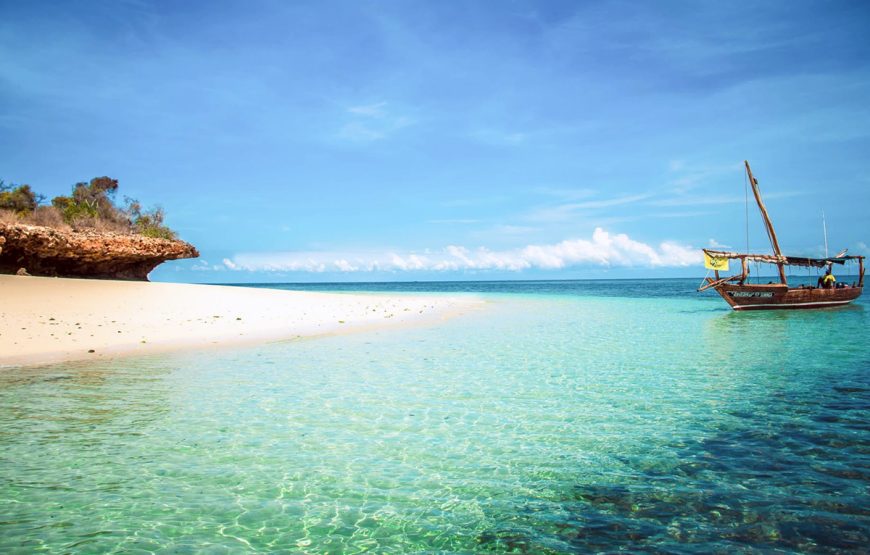 Safari Blue Adventure