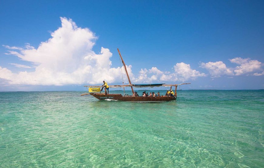 Safari Blue Adventure