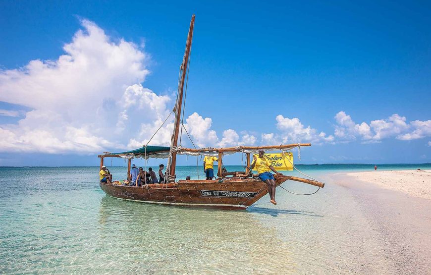 Safari Blue Adventure