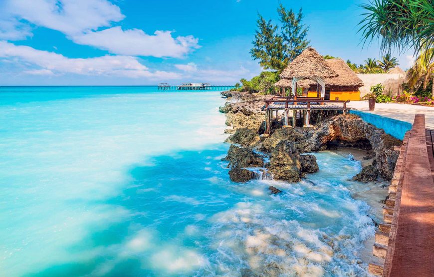 Safari Blue Adventure