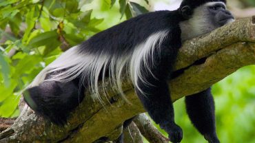 arusha national park