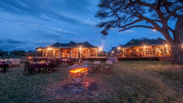 luxury tanzania safaris