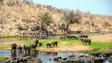ruaha national park