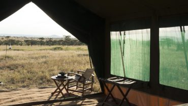 tanzania safari camps