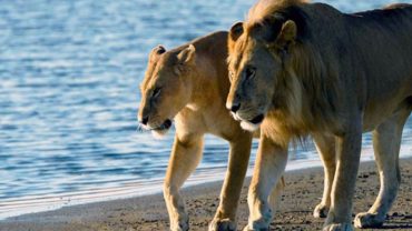 saadani national park