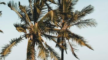 all-inclusive hotels in kenya