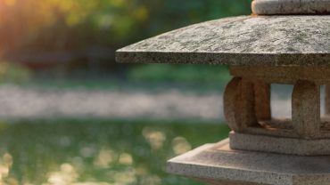 lake manyara national park animals