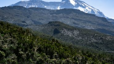 trekking mount kilimanjaro solo