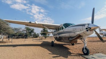 Tanzania Safari from Zanzibar: Beach & Bush in One Trip