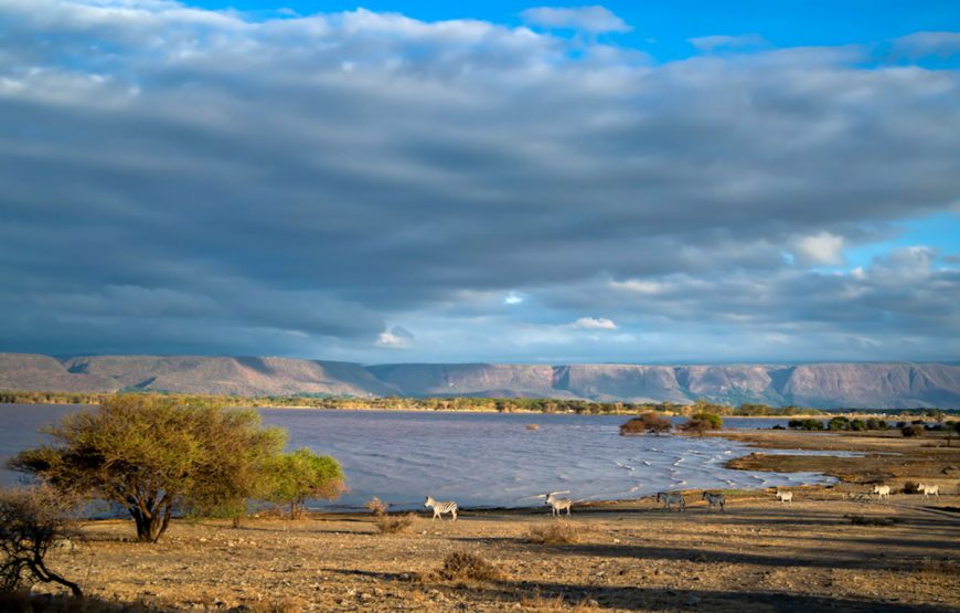 The Essential Snapshot (3 Days / 2 Nights Safaris)