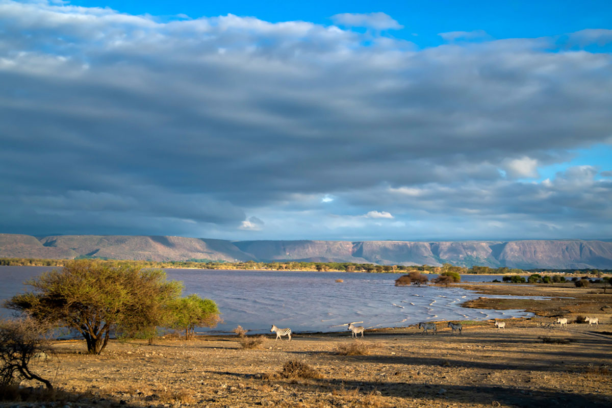Day 3: Tarangire → Lake Manyara National Park