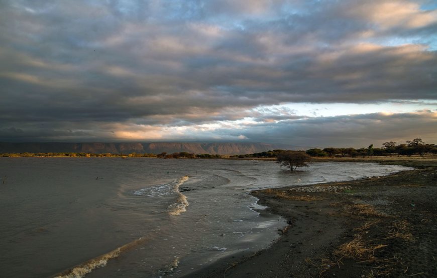 The Explorer’s Odyssey (8 Days / 7 Nights Safaris)