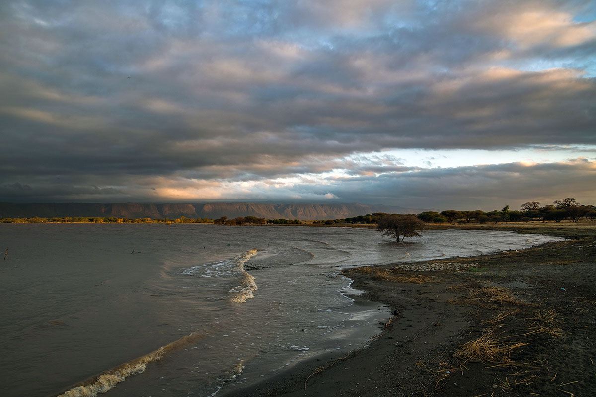 Day 2: Lake Manyara National Park