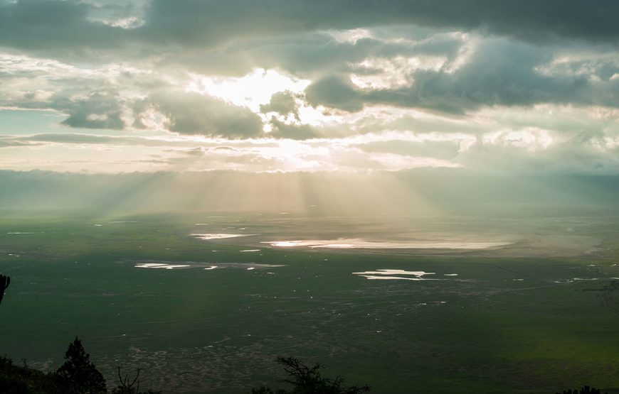 The Essential Snapshot (3 Days / 2 Nights Safaris)