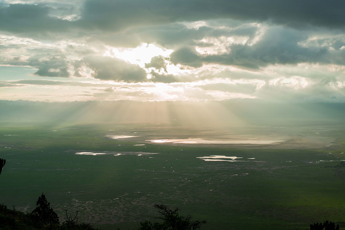 Day 6: Serengeti → Ngorongoro