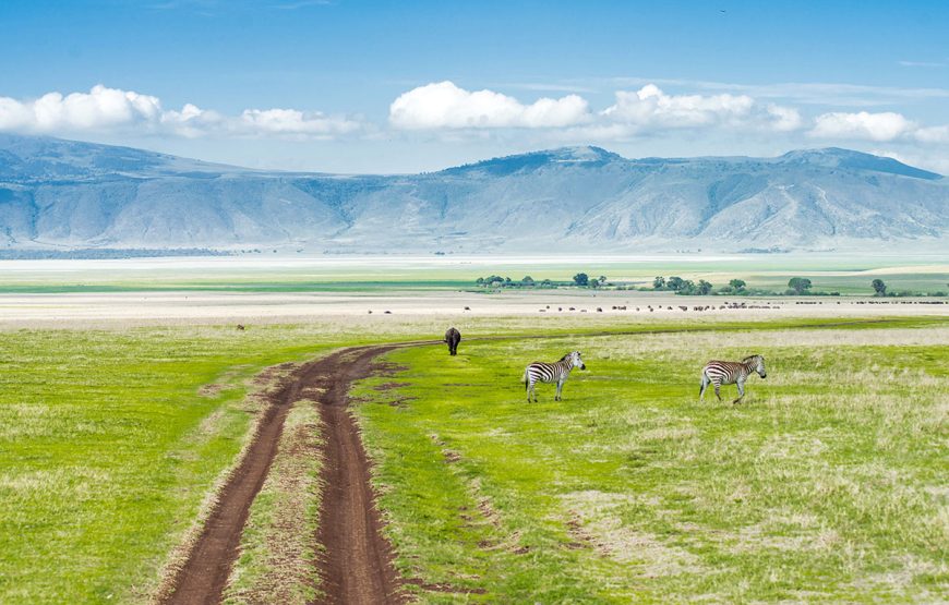 The Serengeti Gateway (5 Days / 4 Nights Safaris)