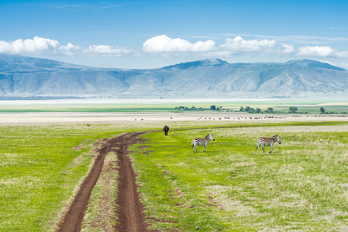 Day 4: Serengeti → Ngorongoro Rim