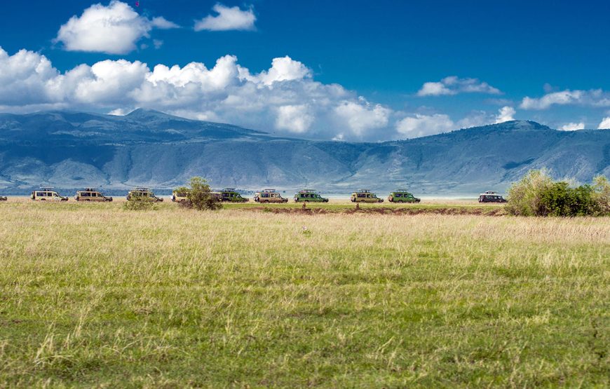 The Wild Heart (6 Days / 5 Nights safaris)