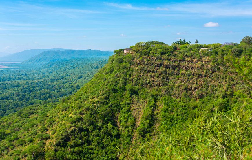 The Serengeti Gateway (5 Days / 4 Nights Safaris)