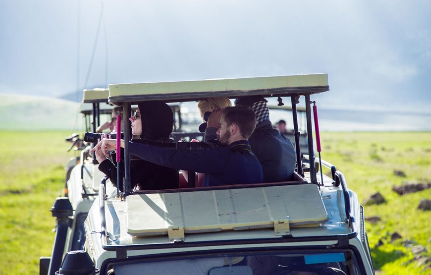 The Essential Snapshot (3 Days / 2 Nights Safaris)