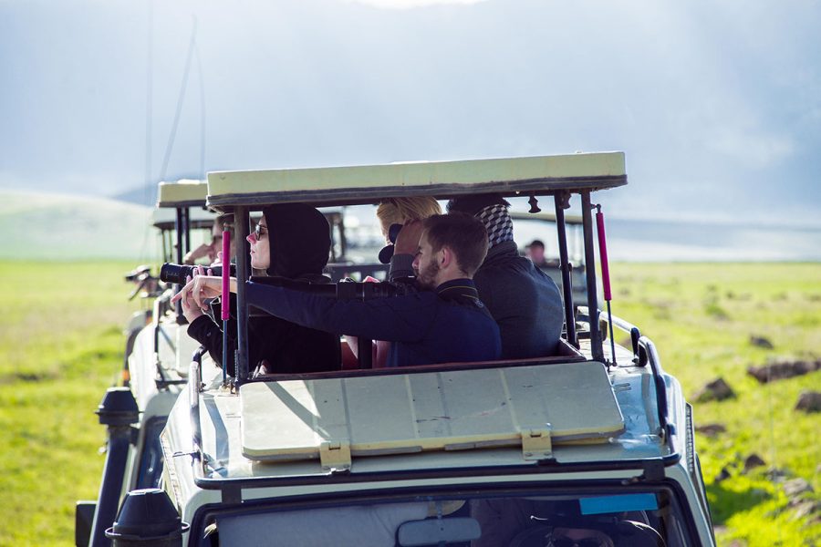 The Essential Snapshot (3 Days / 2 Nights Safaris)