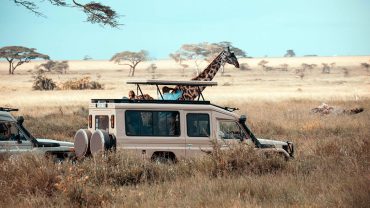 Tanzania Safari Cost in 2026: Full Price Breakdown