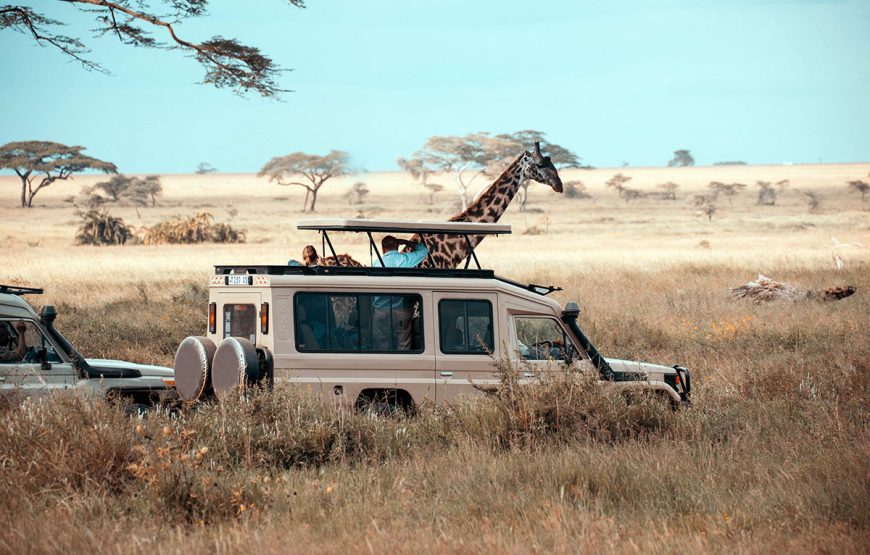 The Wild Heart (6 Days / 5 Nights safaris)