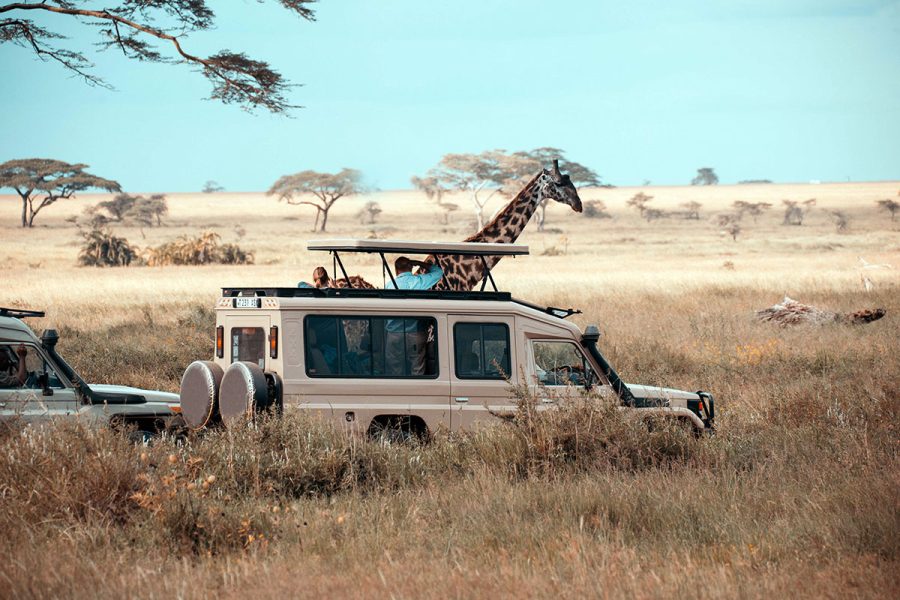 The Serengeti Gateway (5 Days / 4 Nights Safaris)