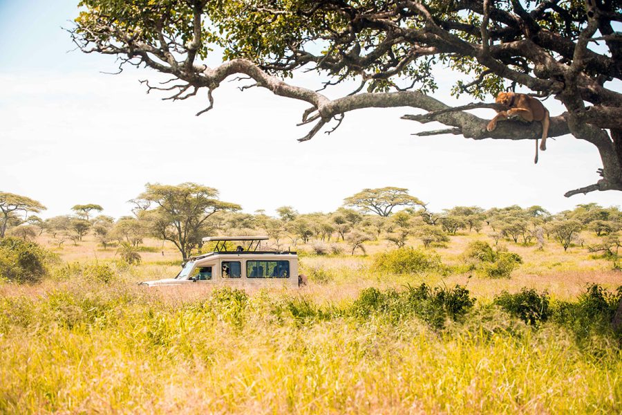 The Classic Quad (4 Days / 3 Nights Safaris)