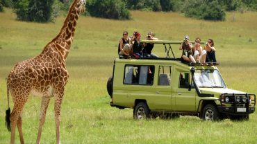 Tanzania Safari Packages: Prices, Itineraries & What’s Included